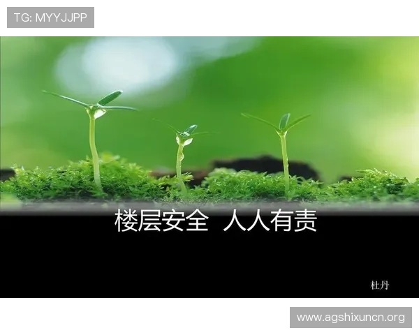 凯发集团官网：平台安全保障措施与隐私保护政策，确保用户信息安全无忧